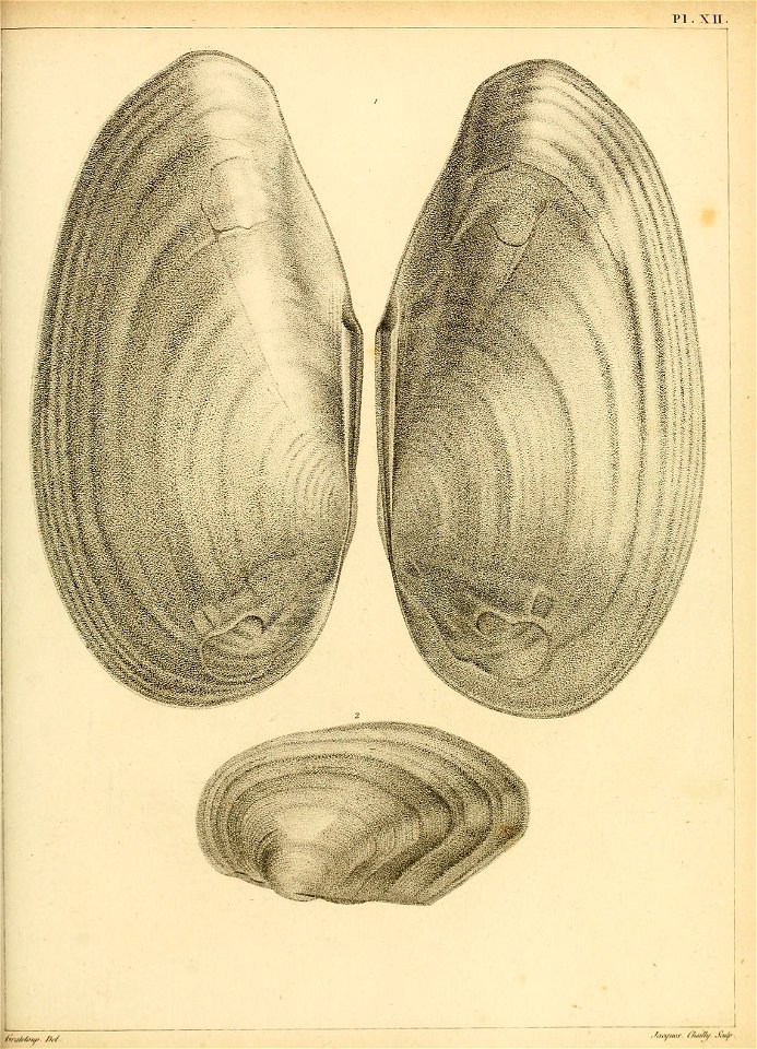 n204_w1150