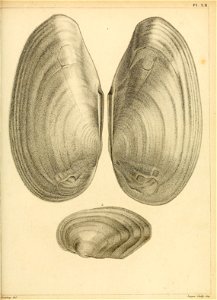 n204_w1150