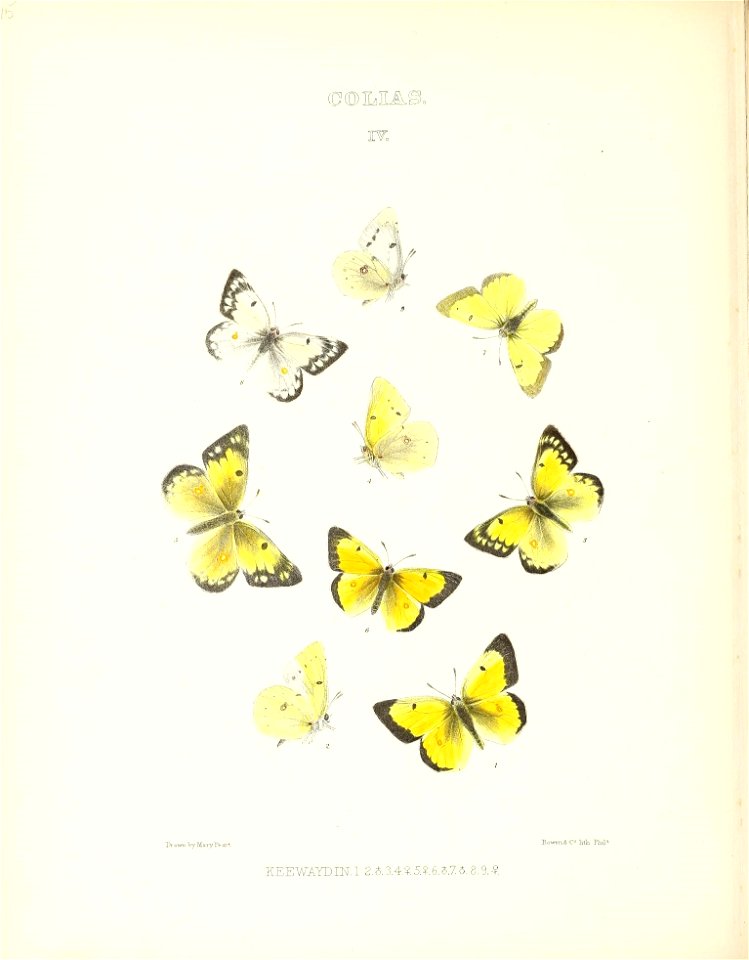 n93_w1150