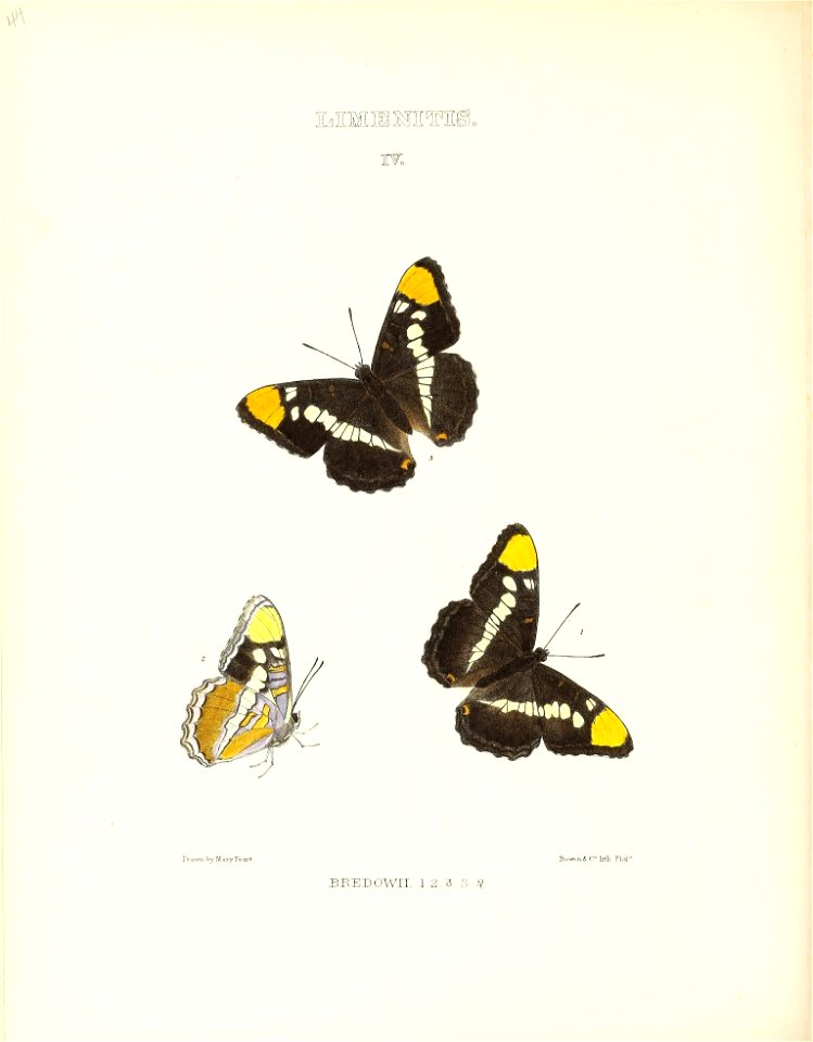 n235_w1150