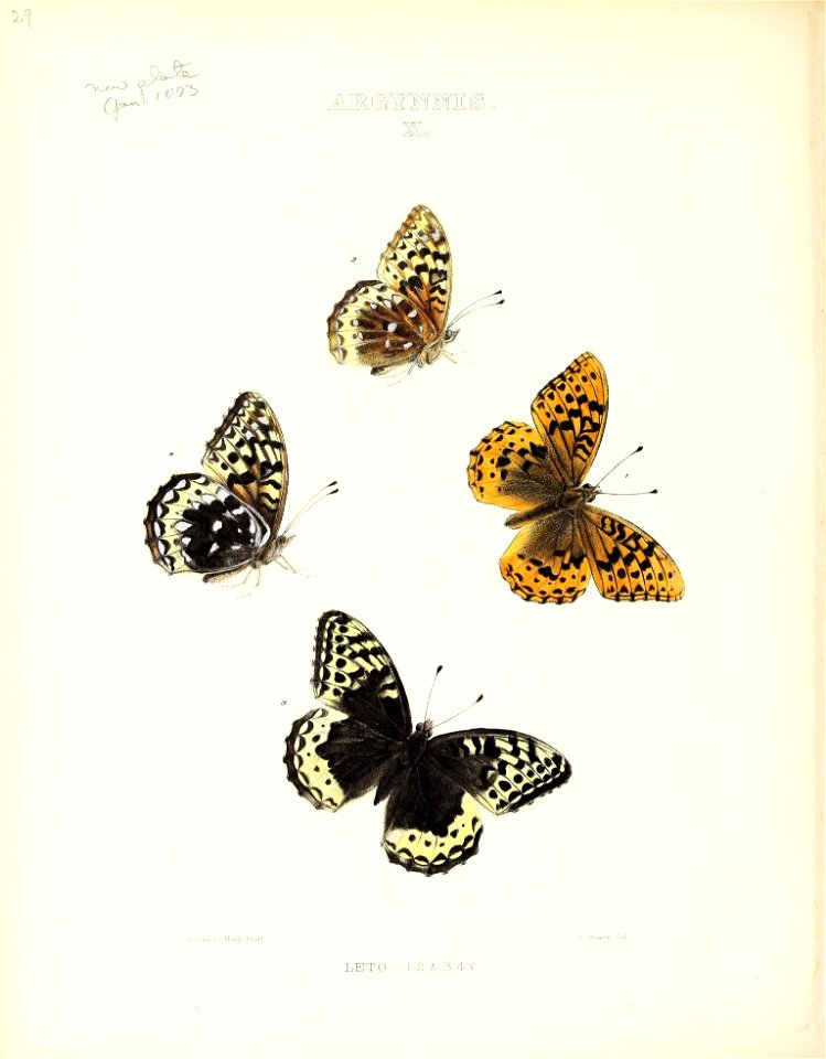 n157_w1150