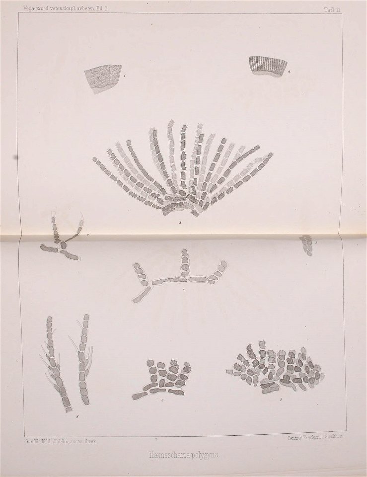 n504_w1150