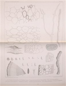 n588_w1150