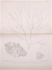 n498_w1150