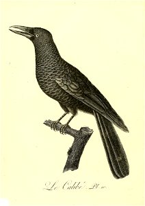 n409_w1150