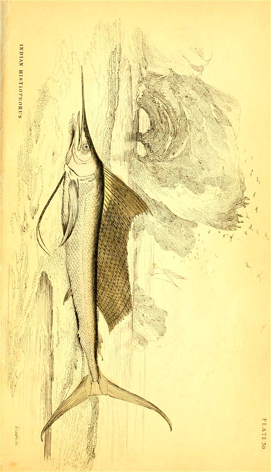 n290_w1150