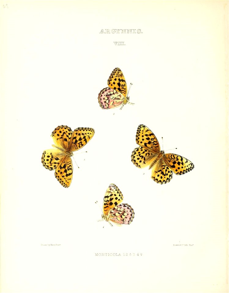 n149_w1150