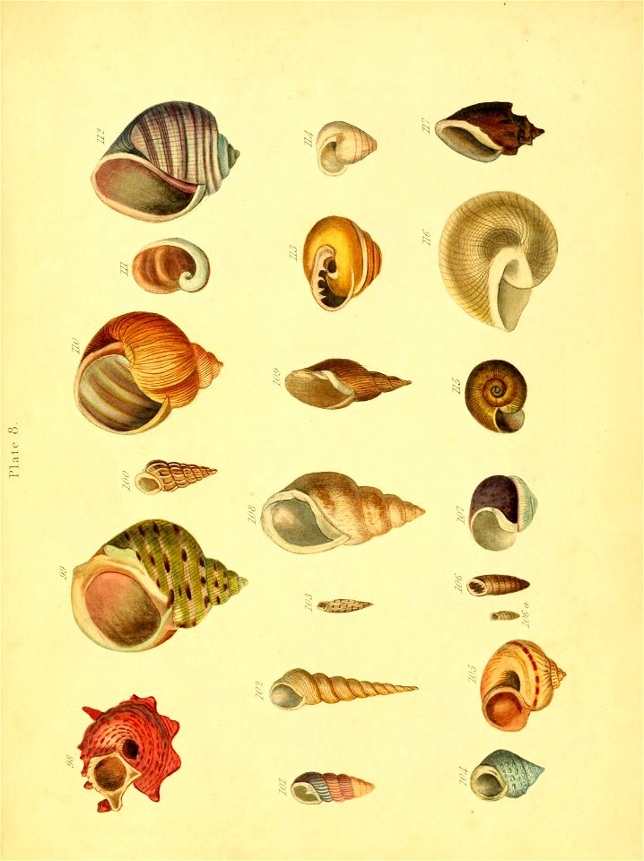 n192_w1150