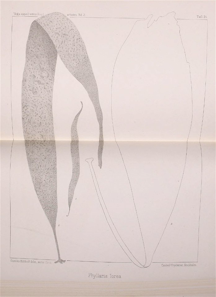 n582_w1150