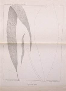 n582_w1150