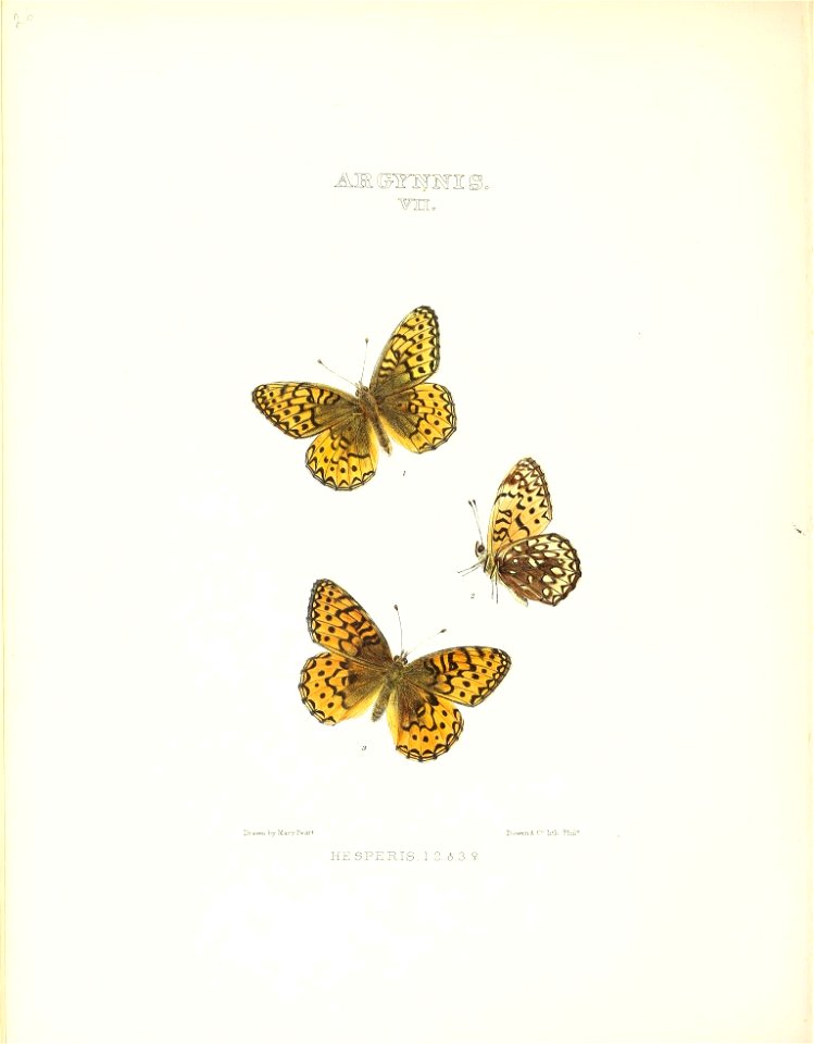 n145_w1150