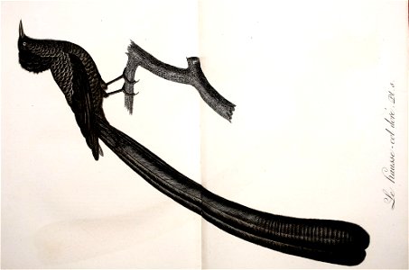 n398_w1150