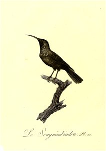 n107_w1150