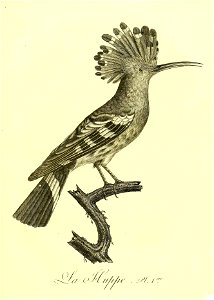 n346_w1150