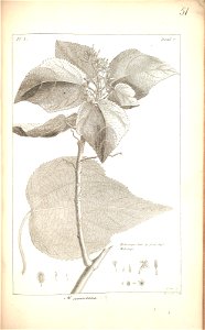 n151_w1150