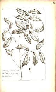 n165_w1150
