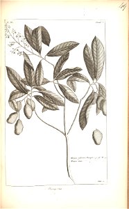 n149_w1150