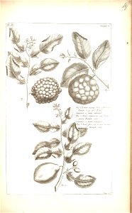 n119_w1150
