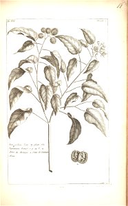 n118_w1150