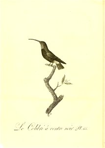 n295_w1150