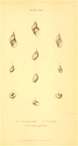 n578_w1150