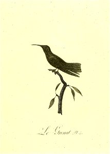 n50_w1150