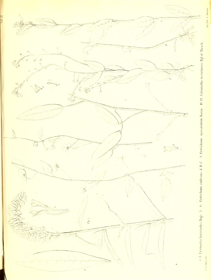 n394_w1150
