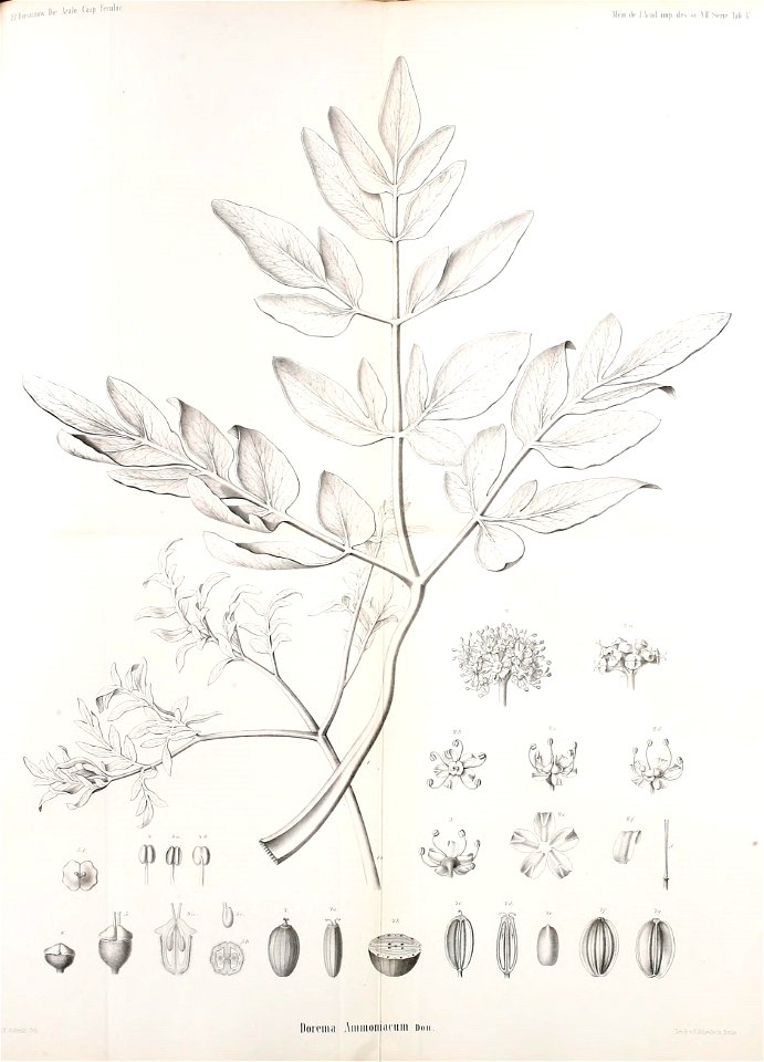 n452_w1150