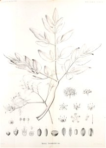 n452_w1150