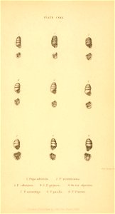 n576_w1150