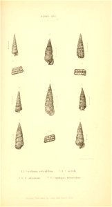 n498_w1150