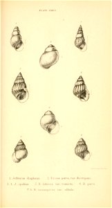 n468_w1150