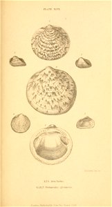 n408_w1150