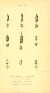 n574_w1150