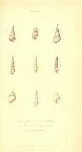 n496_w1150