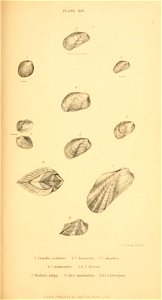 n406_w1150