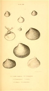 n376_w1150