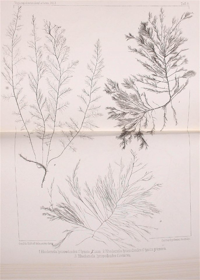 n492_w1150