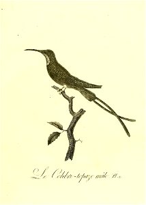 n44_w1150