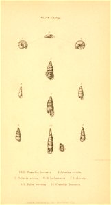 n572_w1150