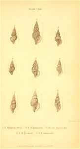n542_w1150