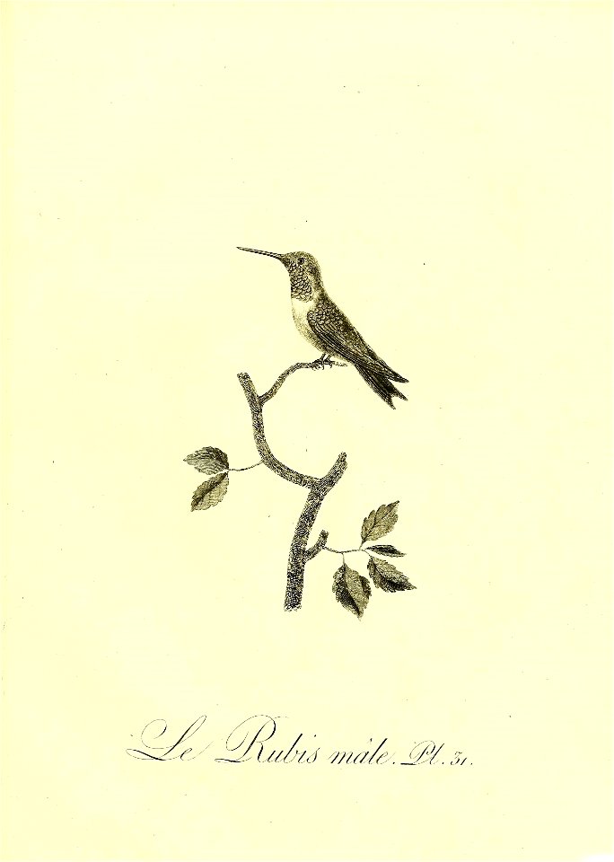 n164_w1150