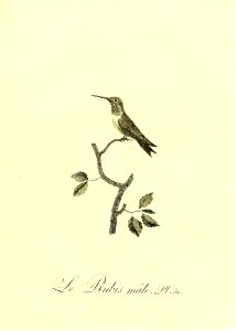 n164_w1150