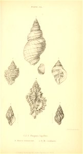 n520_w1150