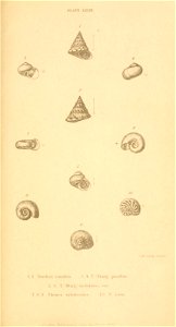 n462_w1150