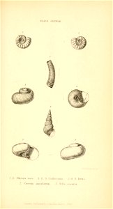 n492_w1150