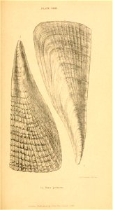 n402_w1150