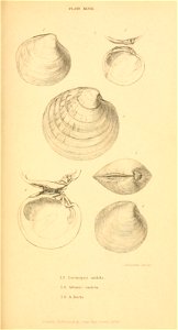 n372_w1150