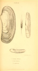 n342_w1150