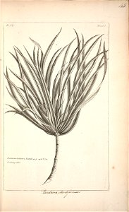 n46_w1150